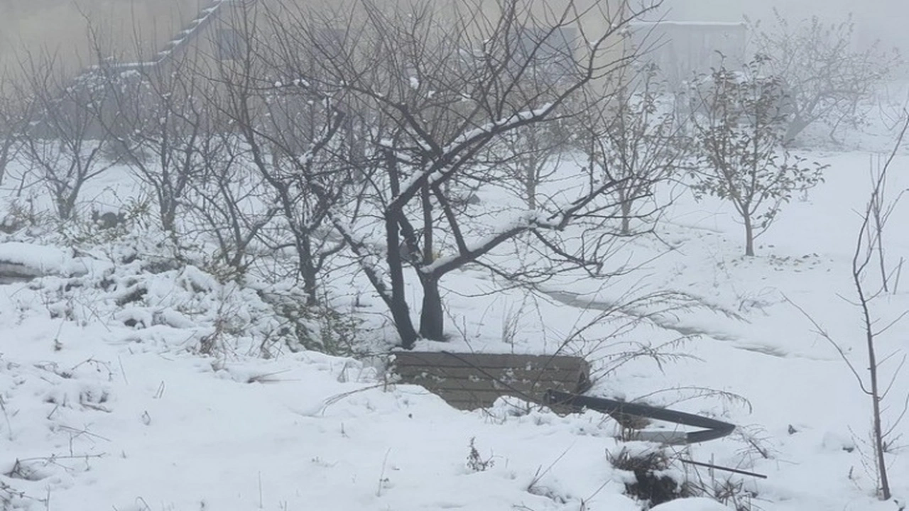 ثلوج وأمطار رعدية.. الأرصاد تحذر سكان 10 ولايات من تقلبات جوية مرتقبة